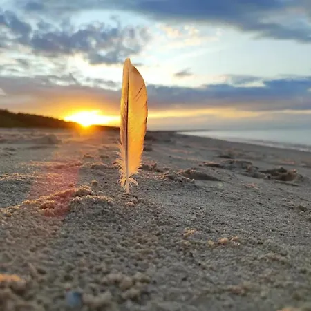 Blockhaus In Casa de Férias *