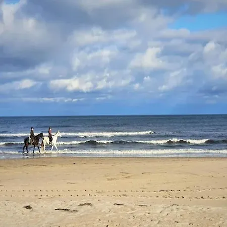 Casa de Férias Blockhaus In